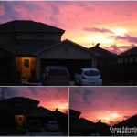 pink purple sunset