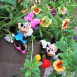 my new garden friends