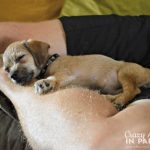 back to sleep