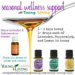 Seasonal Wellness Support with Young Living Oils