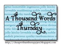 A Thousand Words Thursday