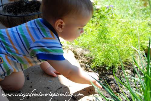 Infant discovering dirt