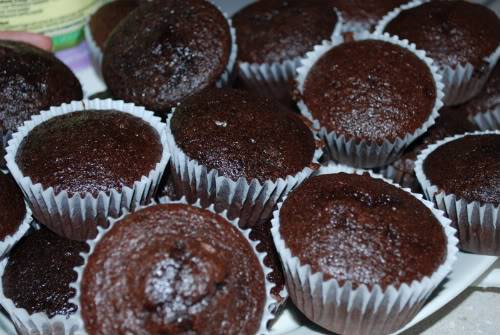 organic chocolate cupcakes before icing