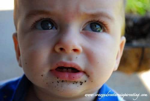 Infant eating dirt