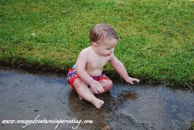 grassily playing in puddle