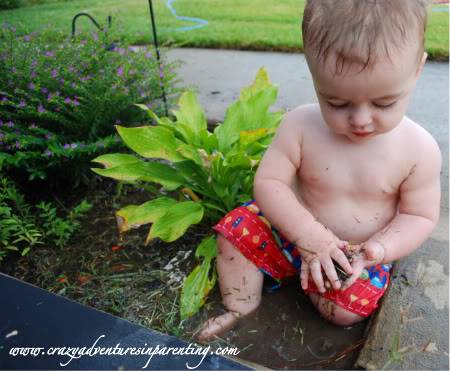 garden pool