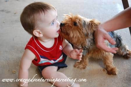 Infant's First Kiss