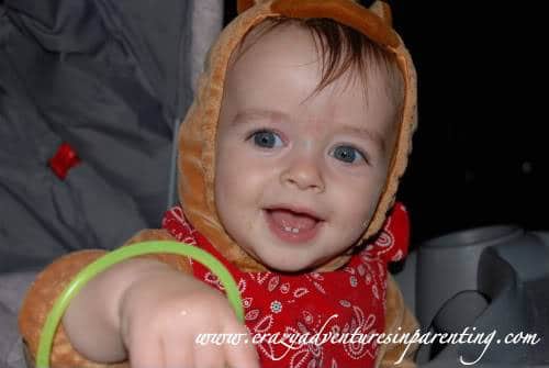 infant horse costume