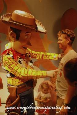 Toy Story Woody Military Appreciation