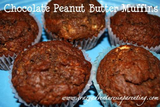 Chocolate Peanut Butter Muffins