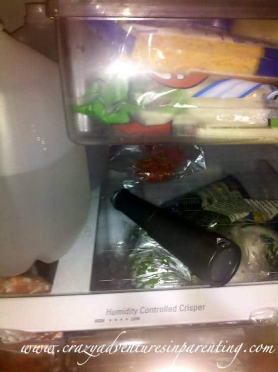 Toy telescope in the fridge. Isn't that where that goes?