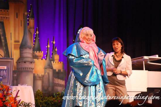 Fairy Godmother at Disney World