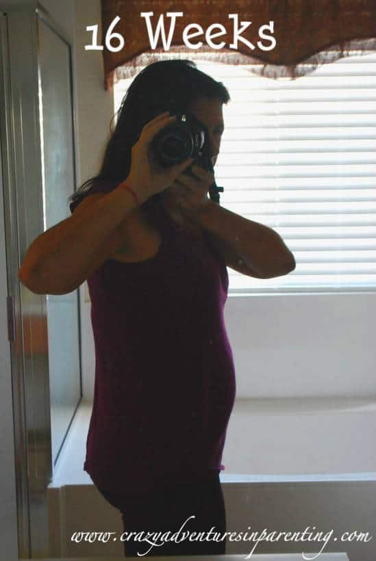 pregnant belly picture 16 weeks