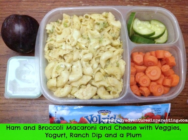 Ham and Broccoli Macaroni and Cheese School Lunch