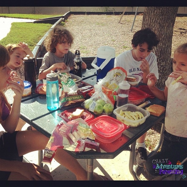 picnic at the park