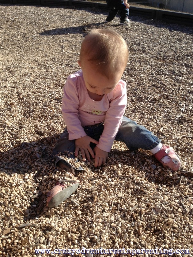 discovering mulch