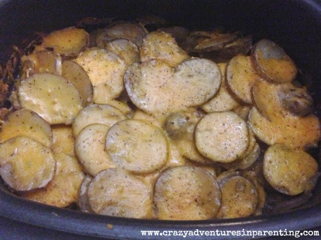 slow cooker potatoes au gratin