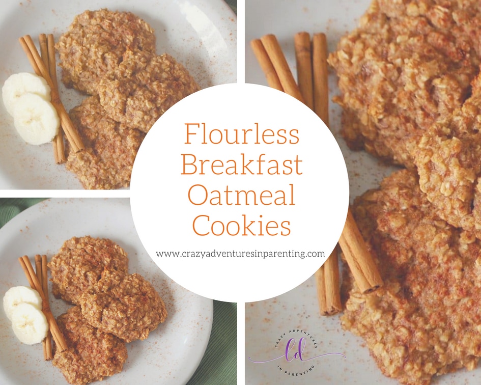 Flourless Breakfast Oatmeal Cookies