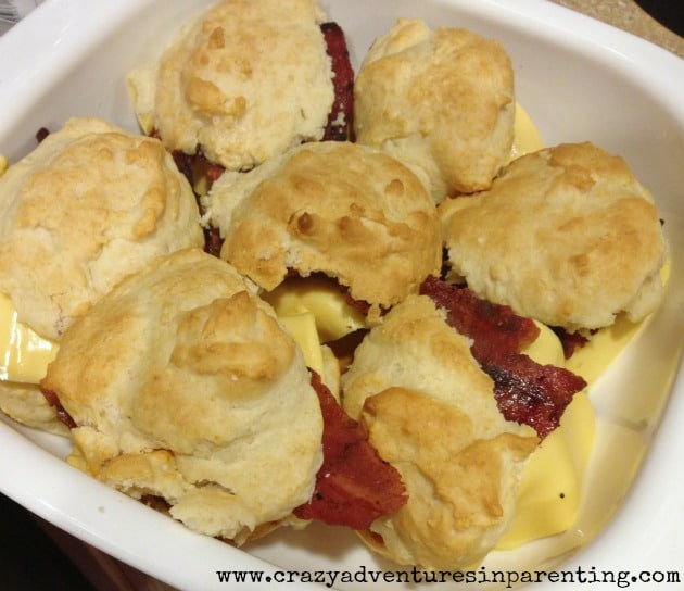bacon egg cheese biscuit sandwiches