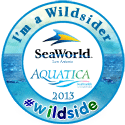 2013 Seaworld San Antonio Wildsider Badge