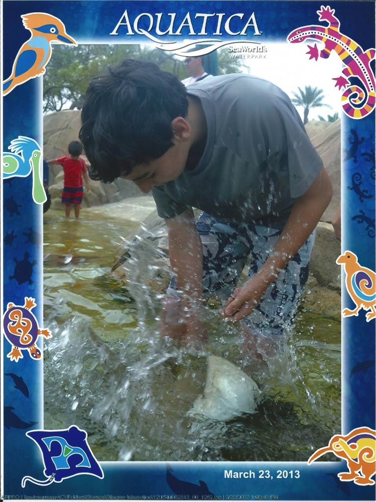 Aquatica Stingray Interaction