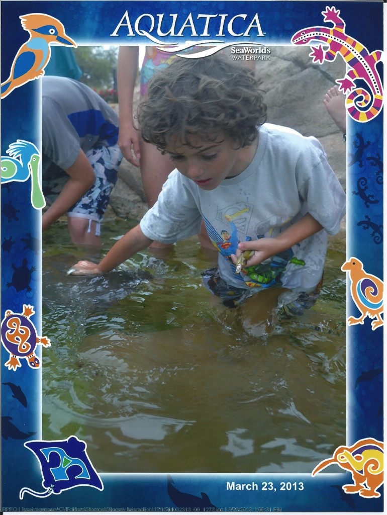 Aquatica Stingray Interaction