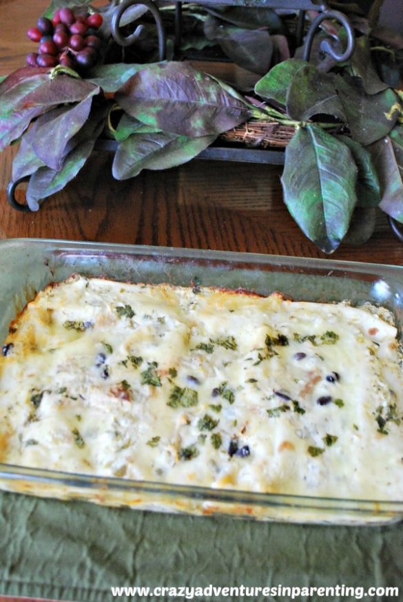 Creamy Chicken Enchiladas Verdes with Tomatillo Sauce