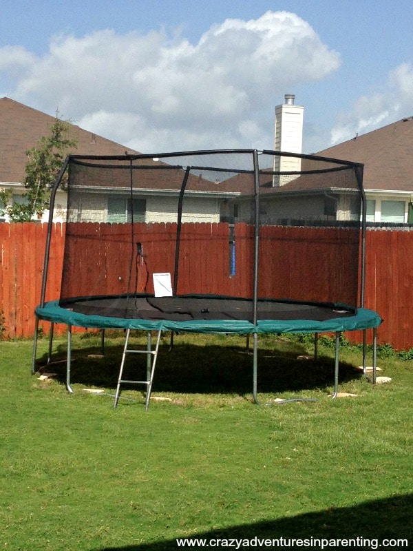 new trampoline