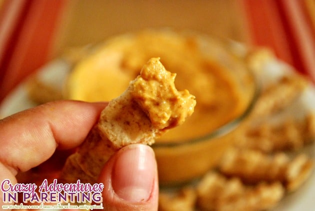 Maple Cinnamon Pumpkin Cream Cheese dip bites