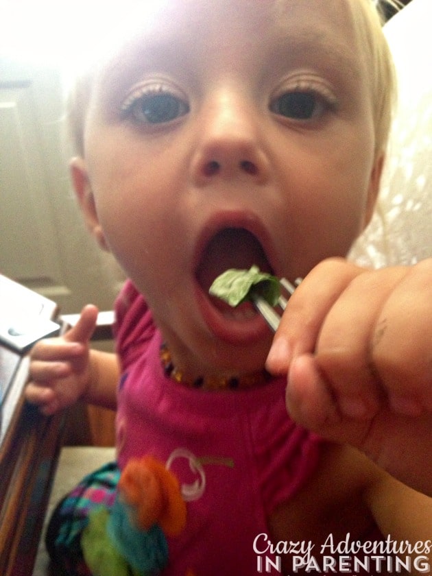 toddler salad stealer