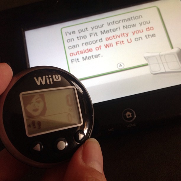 Wii Fit U Fit Meter