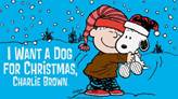 i want a dog for christmas charlie brown