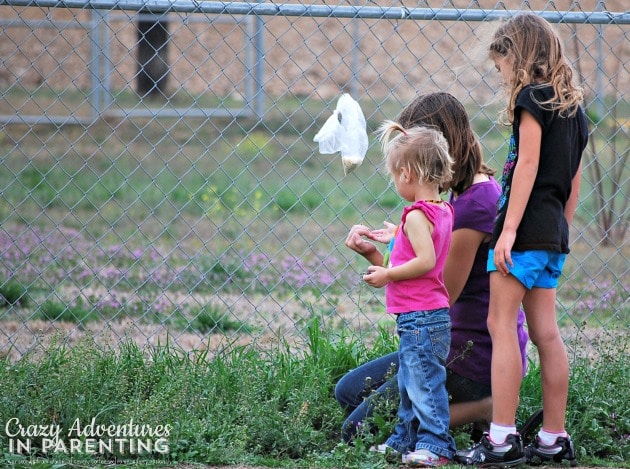 sister bug collecting