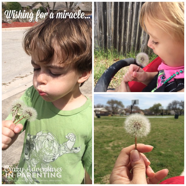 Happiness is ______ {2014-W12} #happinessis | Crazy Adventures in Parenting