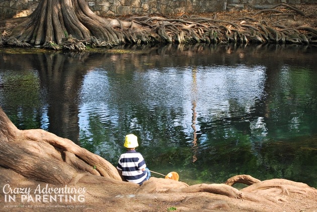 Baby Dude fishing for minnows alone