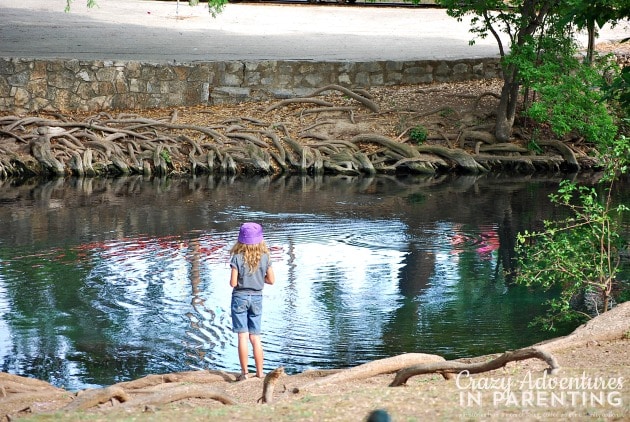 Baby Sis fishing alone