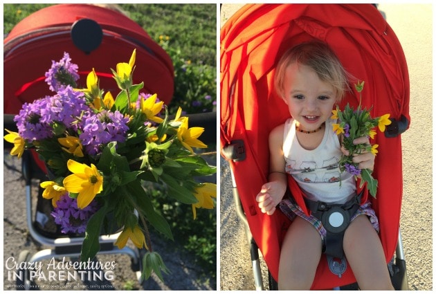 flower-picking