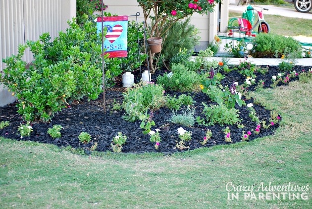 front garden view from the side