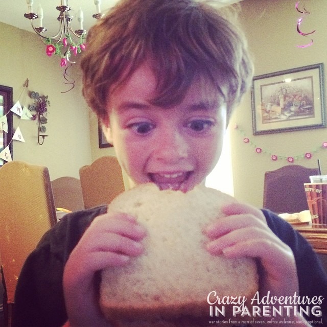 happy boy - nutella marshmallow sandwich