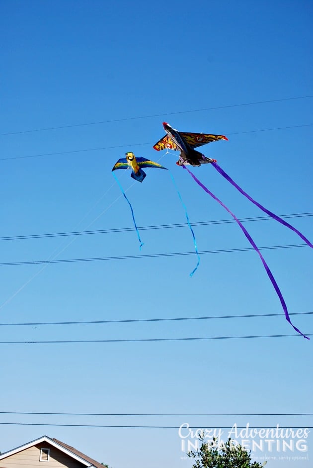 two kites flying together in the sky