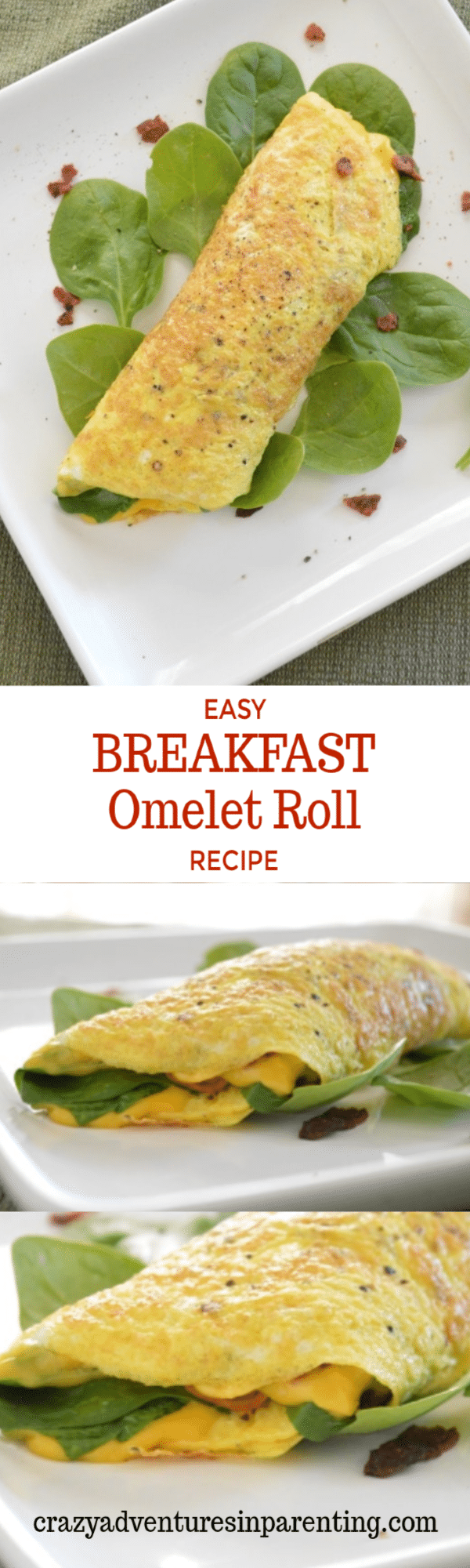 Easy Breakfast Omelet Roll Recipe