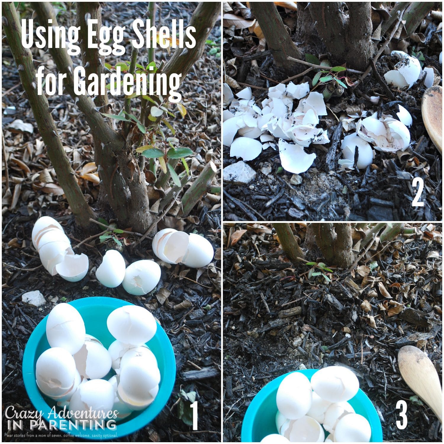 Egg Shells for Gardening