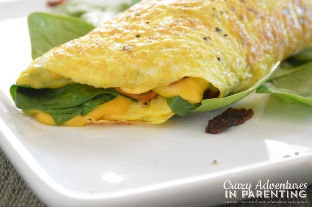 Omelet Roll close up