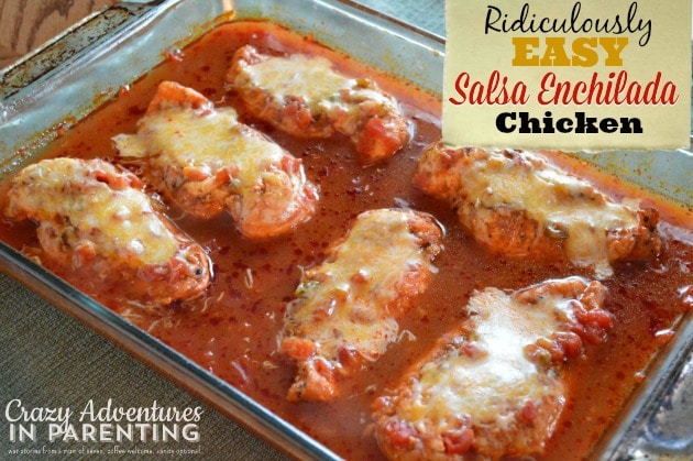 Ridiculously Easy Salsa Enchilada Chicken