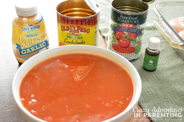 create the salsa enchilada sauce