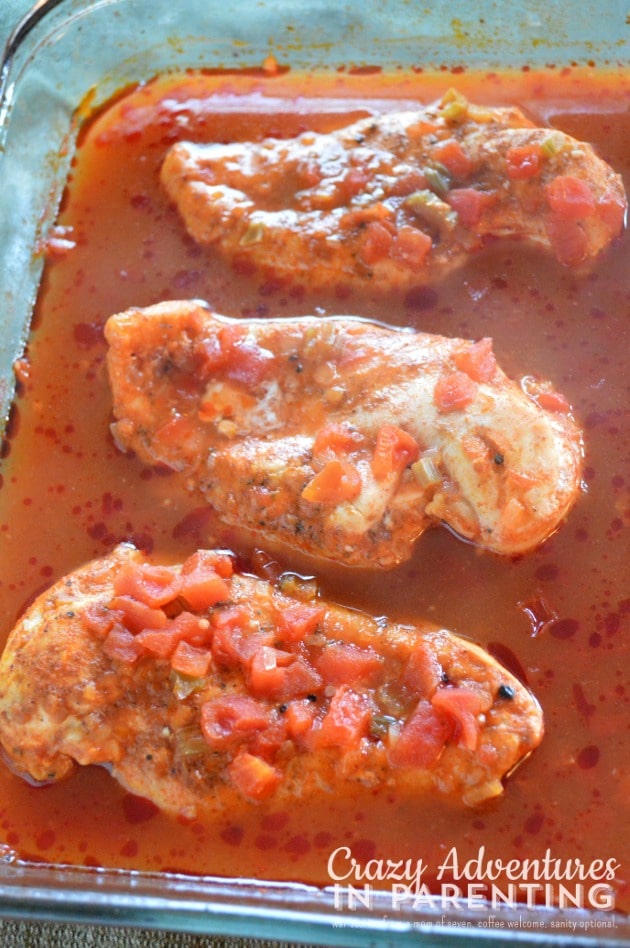 salsa enchilada chicken from the oven close-up