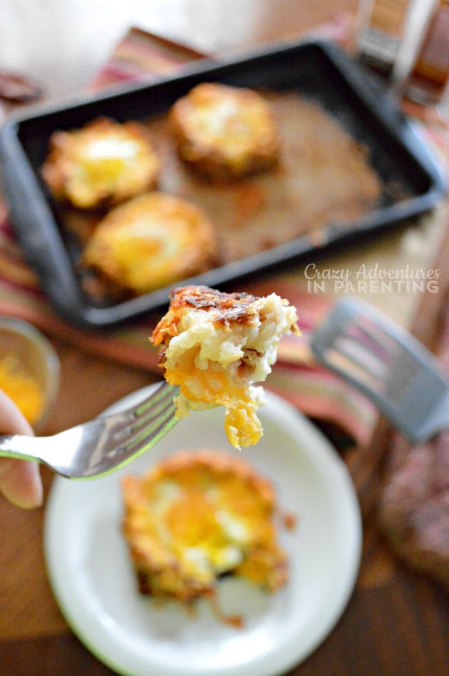 Bacon Egg and Hash Brown Nests bite