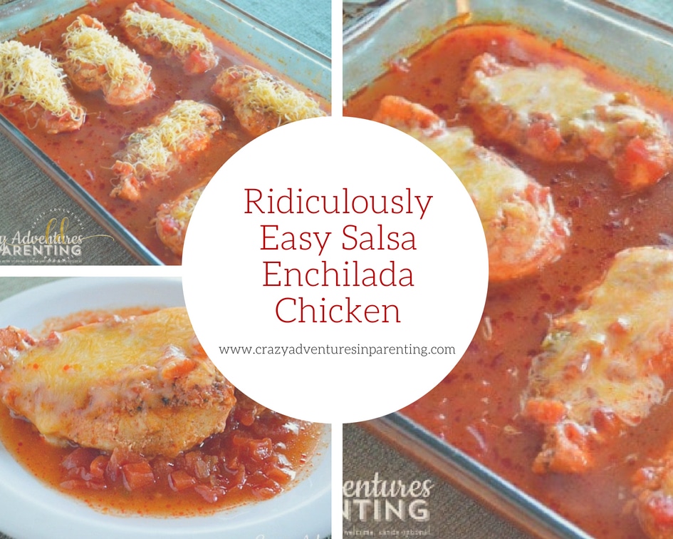 Ridiculously Easy Salsa Enchilada Chicken