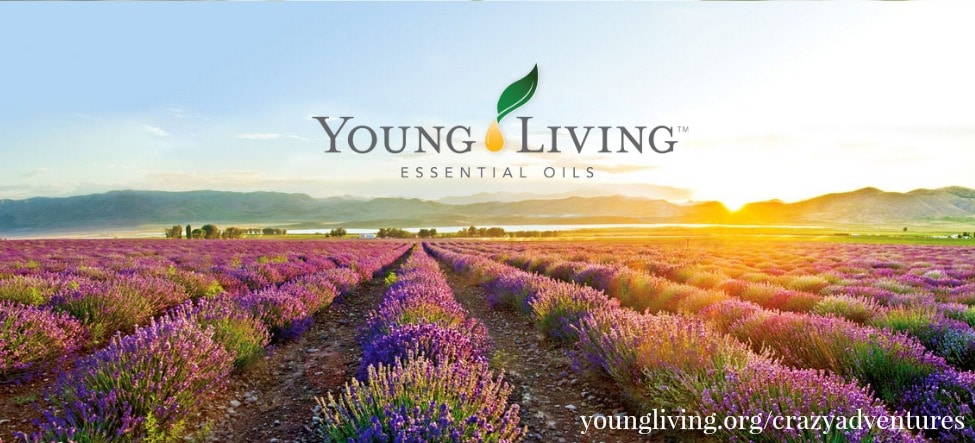 Young Living Oils New Logo