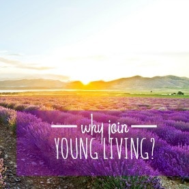 why join young living